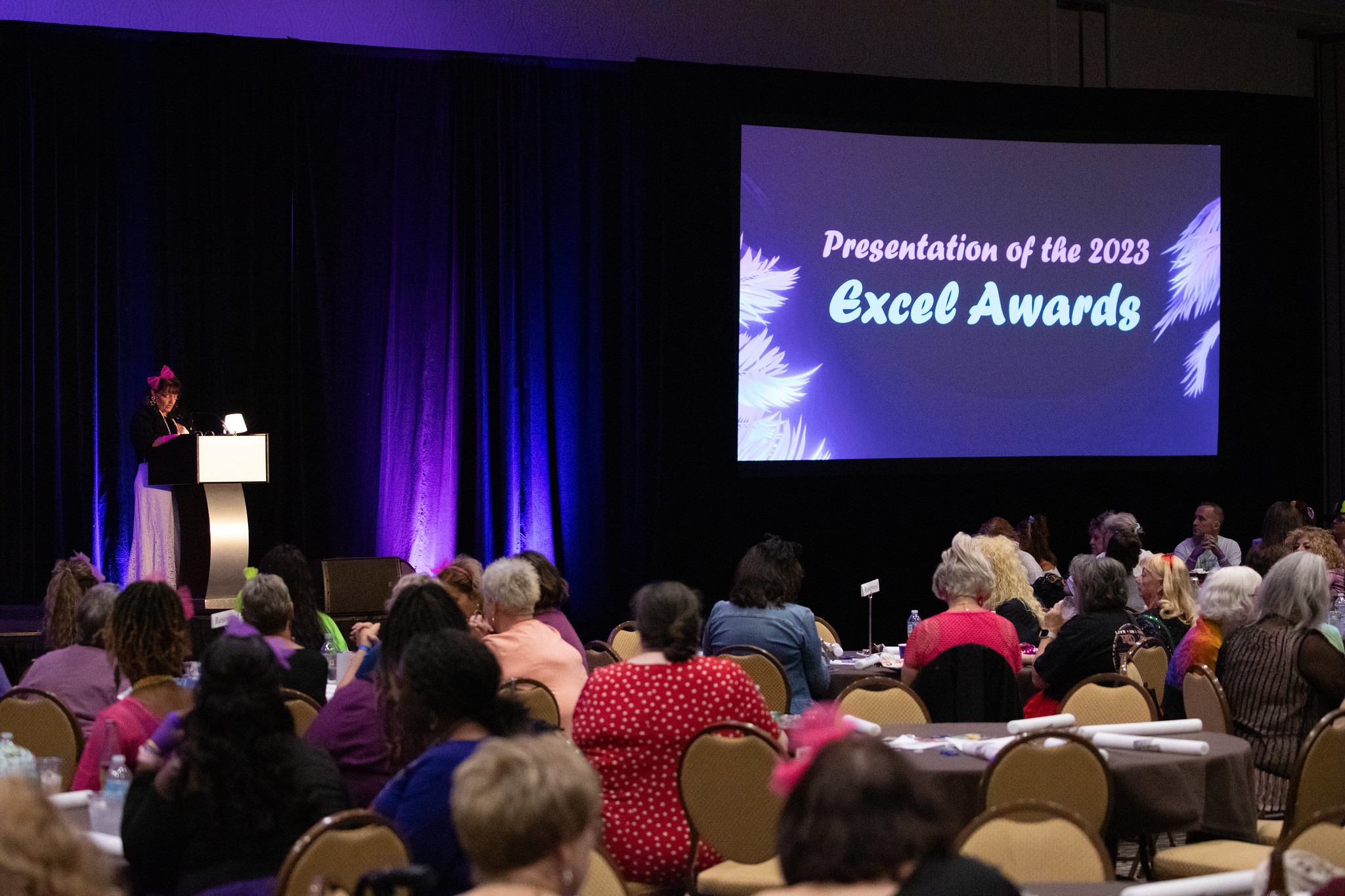 A woman at a podium, with "Presentation of the 2023 Excel Awards" projected on a screen, in front of a crowd of sitted people